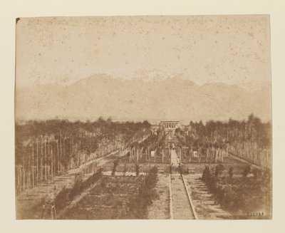 Tehran. Nizamiyeh Garden by Luigi Pesce